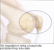 Diz Artroskopisi Sonrası - Şenol Akman